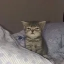 @_magpiiieee_