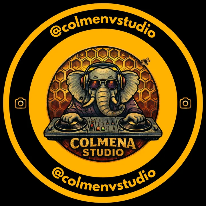 colmenvstudio.cl