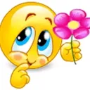 @viddroponline