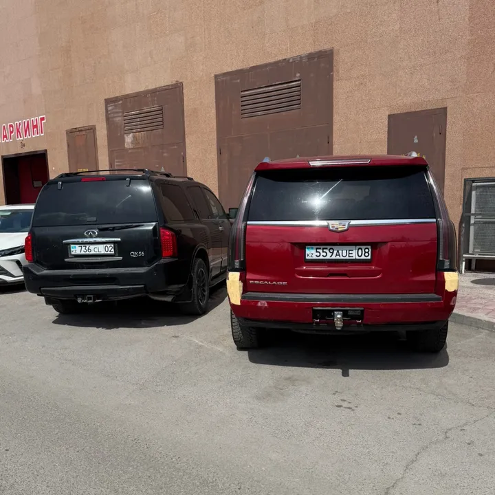 knncars