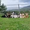 kodak_and_crew
