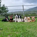 @kodak_and_crew