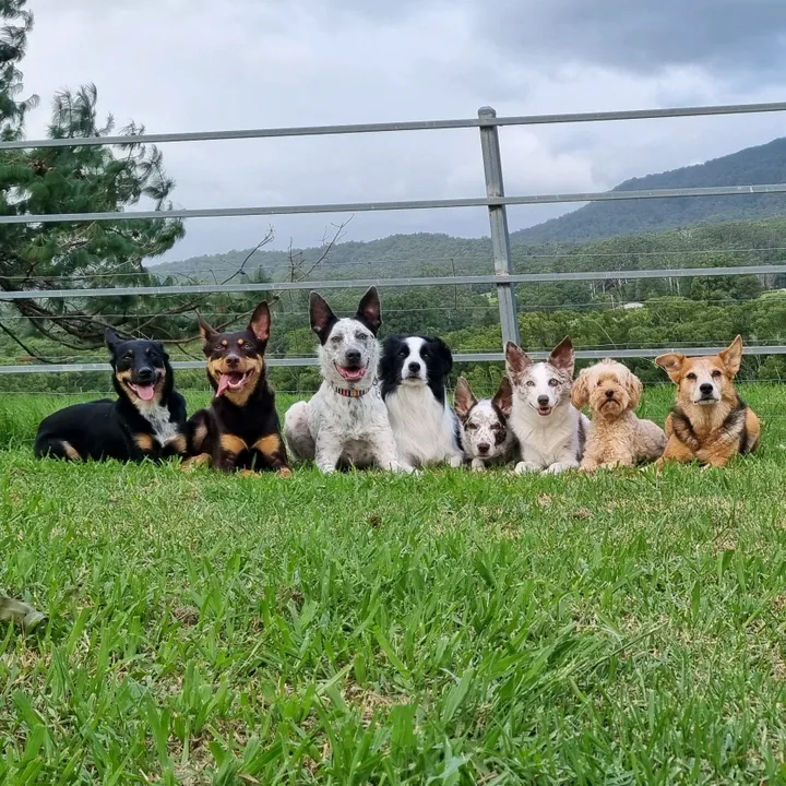 kodak_and_crew