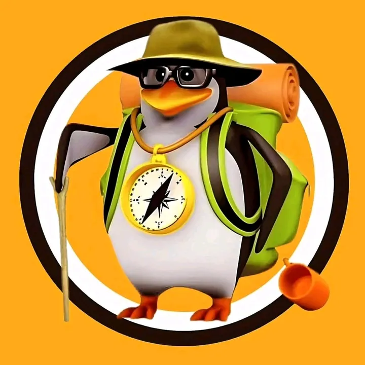 @travel_pinguim