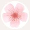 gracehuh7