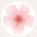 @gracehuh7