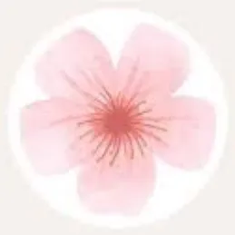 @gracehuh7