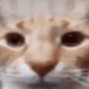 @teafae