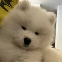 @sadlygirllovesleep