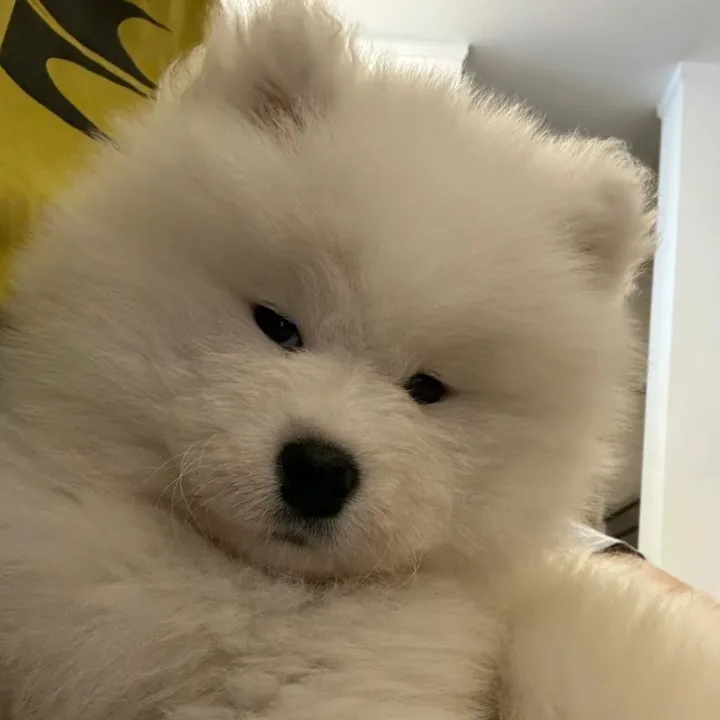 sadlygirllovesleep