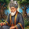 nazimali9556