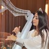 harp.ae