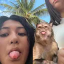 @pia10547