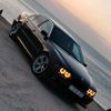 royal_8293