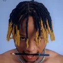 @celebrityartist001