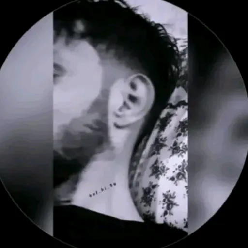 h_al_bi_56