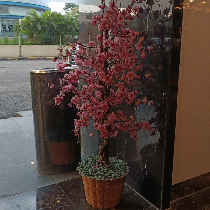 emiarkan8