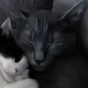 @call_me.kai99