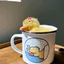@yaraayma5