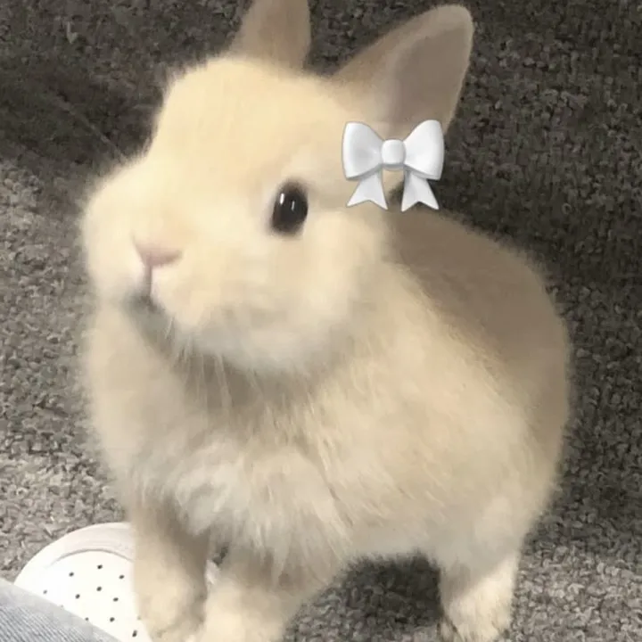 @nrwashie