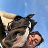 maverickhorserescueorg
