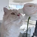 @latte_chi.1202