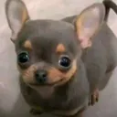@asliwww_