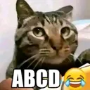 @n3koverse