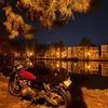 siroyasya_2943