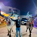 @rafemamun