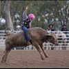 corey12543bull