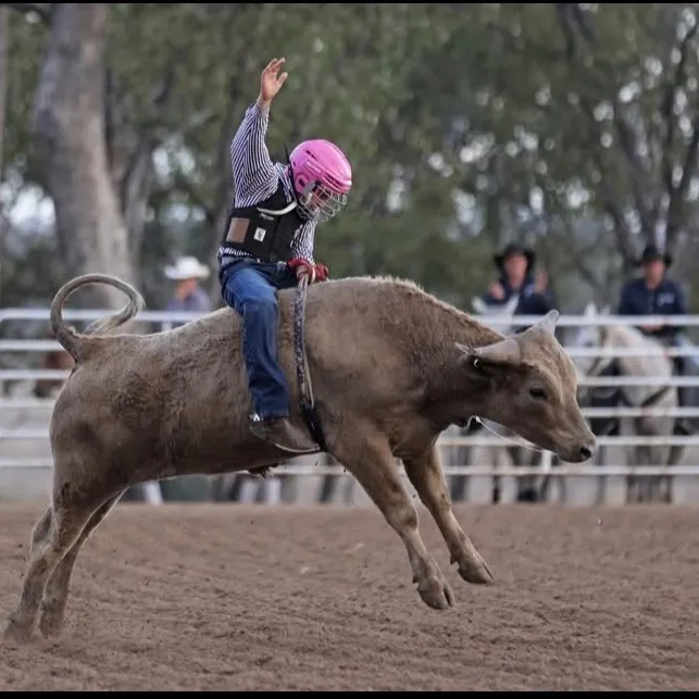 @corey12543bull