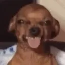 @doughnbil