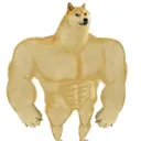 @doge135