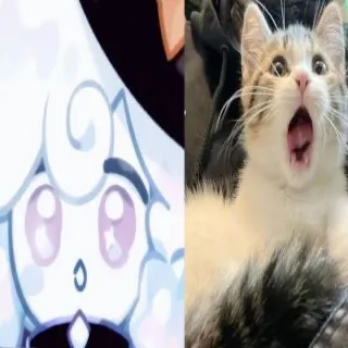 st4rrystims