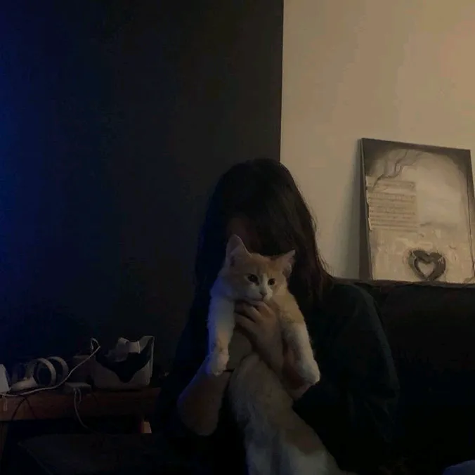 @13ailurophilee