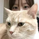 @geugzi