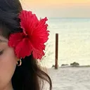 @munabasnet6363