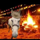 @perola_e_capitao