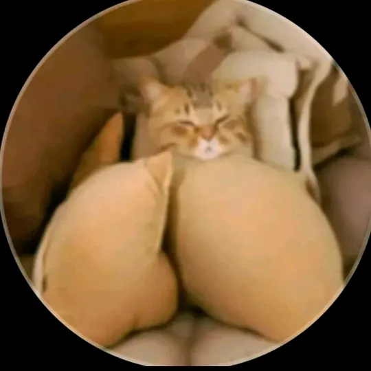 xxxvxxx19