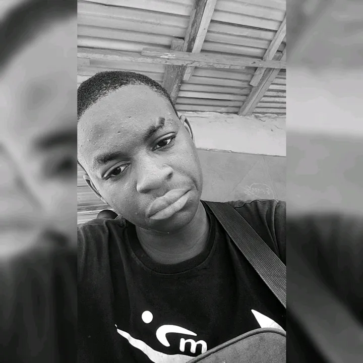 mini.roi1
