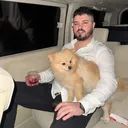 @bigboseci
