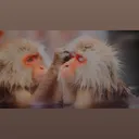 @abrajpoot405