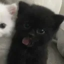 @_jiryu