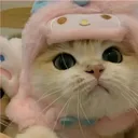 @shortyo_0