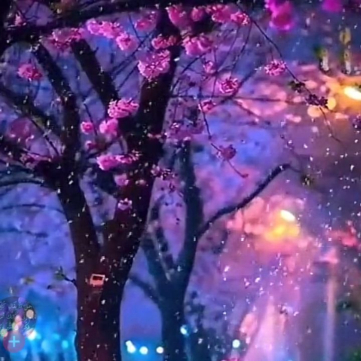 ♥️🌹♥️ - original sound