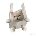 @gjhjo8