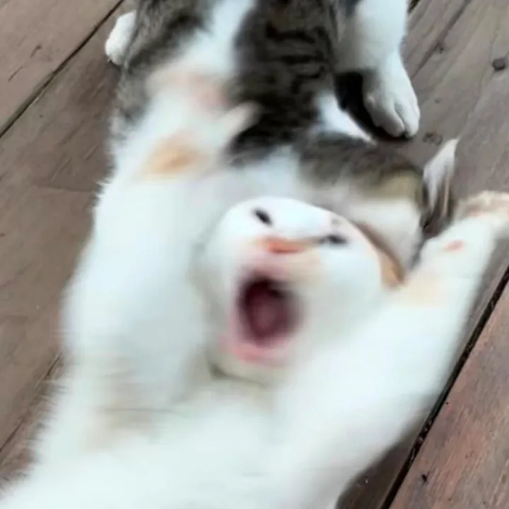 crnacln