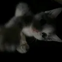 @kisswell_ll52