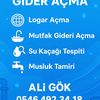 aligok558